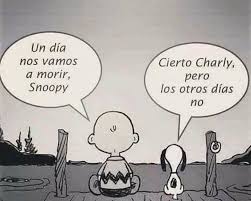 MANUEL FERREIRO BADIA