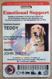 An Overview Of The Service Dogs Emotional Support Dog Service Dogs Service Dog Training