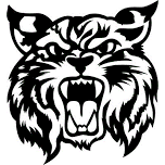 Litchfield Girls Varsity Volleyball @ Burr Oak