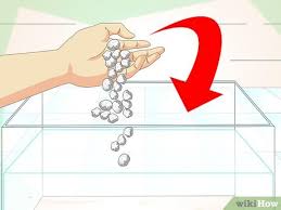 Cloudiness or turbidity of the water comes from particles floating around in your water measured as total suspended solids (tss). 3 Ways To Keep Aquarium Water Clear Wikihow