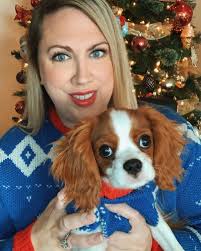 Layla Cavalier King Charles (@cavalierqueenlayla) • Instagram photos and  videos