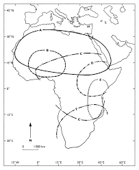 Image result for Acacia adenocalyx
