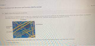Check spelling or type a new query. 18 Of 50 Chapter 4 Tour Of An Animal Cell Structures Chegg Com