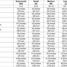 size chart of an ideal womens body shape triangle