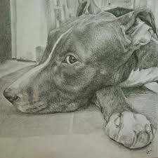Best Photography Pro Dibujos A Lapiz Animales ¿quieres dibujar un gato y no sabes por donde empezar? dibujos a lapiz animales
