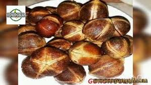 Image result for Thespesia garckeana