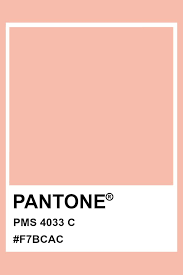 Pantone Pms 4033 Pantone Color Pantone Colour Palettes Pantone Color Pantone