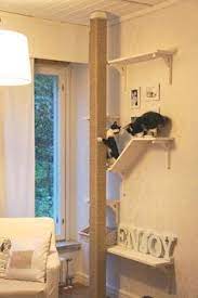 Another aspect of feline body language is chin rubbing or head butting. 470 Best Cat Walks Ladders And Spaces Ideas Cat Furniture Cat Diy Cat Room