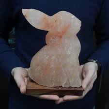 The 5 best himalayan sea salts. Rabbit Carved Himalayan Salt Lamp