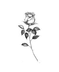 40 Magnificent Hibiscus Flower Tattoos 732382 Flower Tattoo Flowertattoo Hibiscus Tattoos Not Only Come In A Ma Rose Tattoo Stencil Rose Tattoo Ink Tattoo