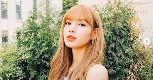 Jennie (bias) jennie is also gorgeous and her smile is cute. Who Is The Most Beautiful Woman In Blackpink