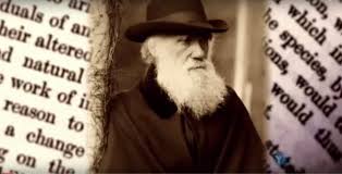 Evolution And Charles Darwin Nova Discovery History Science Documentary Charles Darwin Darwin Science