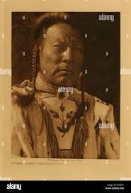 Three bulls hi-res stock photography and images