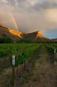 See more of grand junction co chapter on facebook. 140 Grand Junction Ideas Grand Junction Colorado Grand Junction Colorado