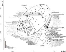 Image result for Rawsonia