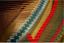 Pin On Donna S Piano S