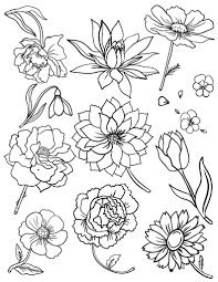 free flower coloring page