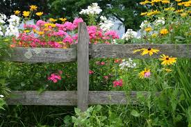 Below we share a variety of ways to improve your garden fence with flower planters and turn your yard in to something amazing. 40 Beautiful Garden Fence Ideas Home Stratosphere