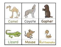 Desert Animals Printable Preschool Printables Desert Animals Desert Animals Coloring Desert Animals Printable