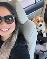 Beebo and Elizabeth (@beebothecorgi) · Instagram 照片和视频