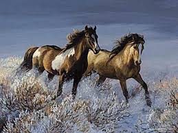 صور خيول عربية أصيلة أجمل خلفيات الخيول ميكساتك