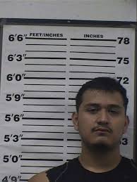 Zapata County operation yields 5 arrests