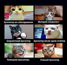 May 16, 2021 · цікаво, в чому там прикол з файлами. Rubrika Buhgalterskij Yumor Prosto Tak Prikol Smeshno Konec Rabochej Nedeli Glavbuh Yaglavbuh Veselye Memy Koshachi Lapy Buhgalterskij Yumor