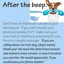 Change Your Voicemail Message So People Know What Important Information To Give You Losing A Dog Losing A Pet Dog Names