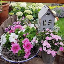 Bild Konnte Enthalten Pflanze Und Blume Pflanzen Blumen Garten