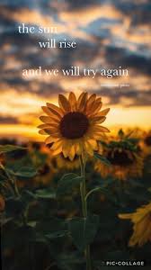 The Sun Will Rise And We Will Try Again Iphone Wallpaper The Sun Will Rise And We Will Try Again In 2020 Sunflower Quotes Flower Quotes Inspirational Quotes Wallpapers