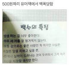 유머사진