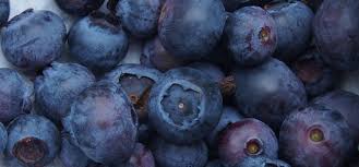 Considered the best flavor by many of the southern high bush varieties. Why You Need Blueberries