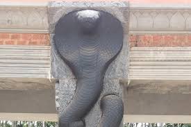 Ausflug Nach Adiyogi Shiva Und Zum Dhyanalinga Tempel Von Coimbatore 2021 Dhyanalinga temple travelers' reviews, business hours, introduction, open hours.