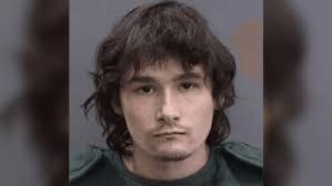 Man 'intentionally' set house fire that killed 4 people, 3 dogs: police