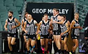 Port adelaide power musical can cooler 2 pack. Our Frustration Sits With The Afl Port Adelaide Fumes After Prison Bar Ban