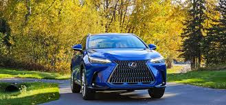 Image result for Nori Green 2025 LZ