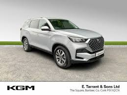 Image result for Dandy Gray 1993 SsangYong