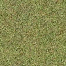 Seamless Golf Green Grass Texture Maps Texturise Grass Textures Texture Mapping Material Textures