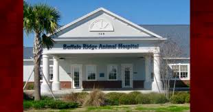 We understand how important your companion is to you — because they're there for you through the thick and thin of life, with a wagging tail or a happy purr, and unconditional love. No More 24 7 Emergency Care Available For Pets In The Villages Villages News Com