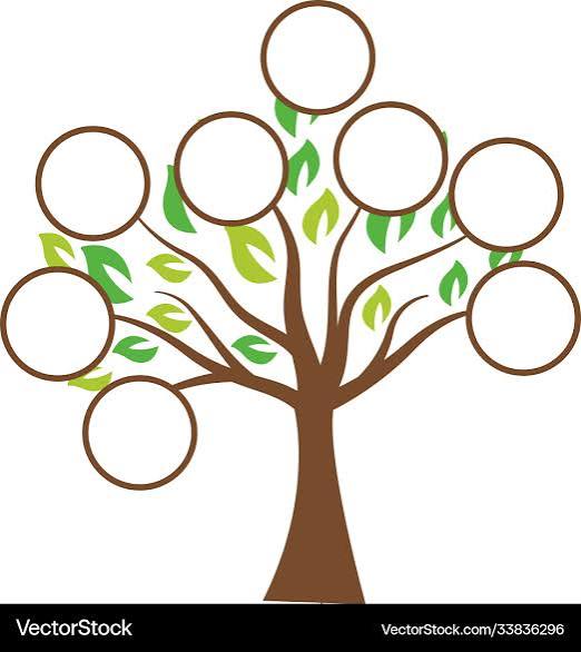 Family Tree Template – Royalty-Free Vector | VectorStock
