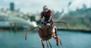 Resultado de imagen de ant-man y la avispa