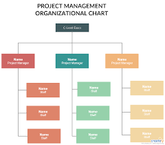 Project Management Organizational Structures You Can Edit