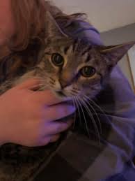 Baby pool is back!!! It blew away big thank you to my neighbors who found  it!!!