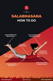 Salabhasana Locust Pose Steps Benefits In 2020 Learn Yoga How To Do Yoga Learn Yoga Poses