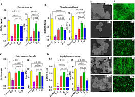 Department of basic sciences, college of veterinary medicine, mississippi state university, p.o. Biofilms Formed By Listeria Innocua A Listeria Welshimeri B Download Scientific Diagram