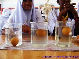 Perbedaan besar lainnya antara un dan an (asesmen nasional) adalah materinya. Pameran Sains Dan Matematik Sekolah Menengah Kebangsaan Gunung Rapat