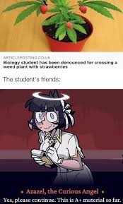 God Was Afraid To Create This Plant Helltaker Anime Funny Funny Memes Funny Relatable Memes