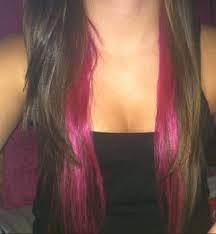 Brown Hair W Pink Underneath Mini Layers Brown Hair Underneath Pink Underneath Hair Hot Pink Hair