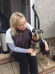 Pet shipping services directory will show you how to ship your pet or hire a pet shipping expert. Pet Transport To The Uk Reviews