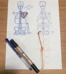 Drawing on the art and science of anatomy to understand the human body with anatomist dr. Concentrated Study Of Anatomy Pencil4anatomy Twitter
